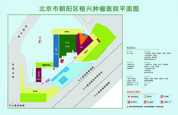 感谢让我操进你逼里视频北京市朝阳区桓兴肿瘤医院平面图